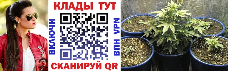 Купить закладку Жигулёвск СК  АМФЕТАМИН  МЕФ  Гашиш  Каннабис 