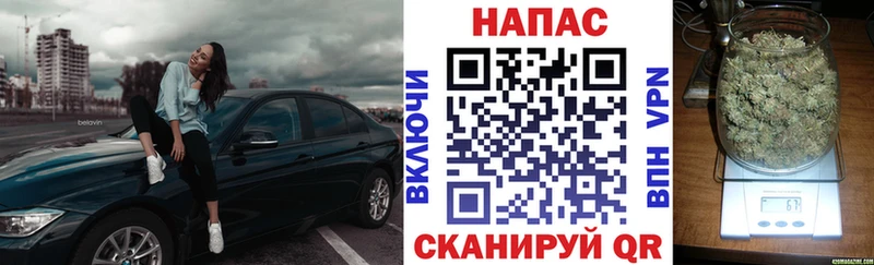 Марихуана семена  Жигулёвск 